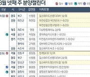 [그래픽]8월 넷째 주 분양캘린더