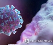 "기존보다 돌연변이 30여개 많아"…코로나19 변이 출현