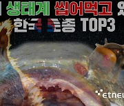 해외 생태계 씹어먹고 있는 한국 토종 'TOP 3'