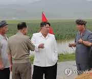 北, 추수·탈곡 준비태세로…"총알처럼 여문 황금 이삭"