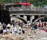 계룡산 동학사 계곡에 피서 인파