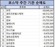 코스닥 주간 기관 순매도 1위 ‘파두’