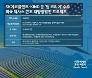 SK에코플랜트, 6000억 美 태양광 발전사업 수주