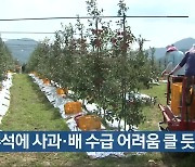 추석에 사과·배 수급 어려움 클 듯