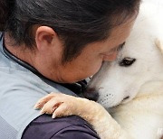 어제는 식용견, 내일은 반려견… 해외 입양 가는 구조견들