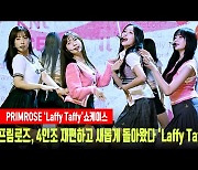 프림로즈, 4인조 재편하고 새롭게 돌아왔다 'Laffy Taffy' 첫무대