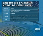 SK에코플랜트, 현대건설 등 ‘팀 코리아’ 미 대규모 태양광 발전소 수주