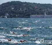 TURKEY SWIMMING