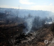 GREECE WILDFIRE