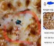 피자 위 '벌레 사진' 합성해놓고 환불 요구한 진상고객