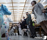 서울시 개·고양이 식용 금지 조례 제정을 기원하며…