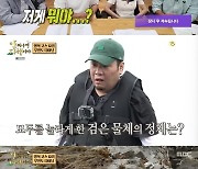 안정환, 대왕 군소 등장에 "진짜 커"…일식 셰프 정호영도 '절레절레'