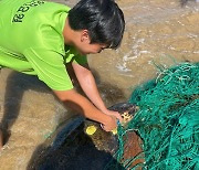 폐그물에 걸려 여수로 밀려온 '붉은바다거북'..."안전요원 도움받아 무사히 바다로"