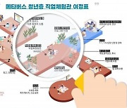 '메타버스서 인턴십을' 잡월드·고용정보원, 체험관 구축