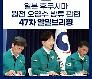 후쿠시마 원전 오염수 방류 관련 일일 브리핑(8.21.)