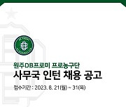 원주 DB, 인턴 사원 채용