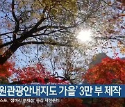 ‘강원관광안내지도 가을’ 3만 부 제작