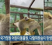 순천만국가정원 어린이동물원, 다람쥐원숭이 탄생