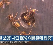 “‘벌 쏘임’ 사고 80% 여름철에 집중”