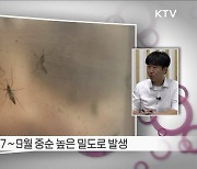 전국에 일본뇌염 경보 발령 '예방접종 권고' [정책인터뷰]