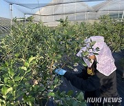 알바 구직난 시대, 농촌에서 답을 찾다 [쿠키청년기자단]