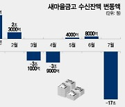 '자금이탈 홍역' 치른 새마을금고, 수익성 건강해졌다