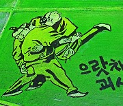 [뉴시스 앵글] 괴산 문광저수지 유색벼 논그림 '으랏차차! 괴산'