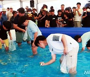 사천시 삼천포항 자연산 전어축제 막 내려