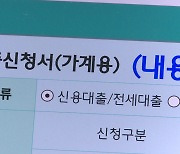 100만원도 갚기 어렵네…20대 4명 중 1명 이자 못 내