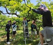 강진군, 대표 브랜드 푸소체험 운영 신규 농가 모집