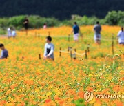 가을이 온다…처서가 모레