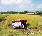 가을이 성큼