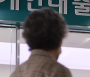 '소액생계비 대출' 20대 4명 중 1명 이자 미납