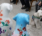 개 식용 반대 전시회 찾아온 반려견