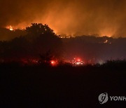 GREECE WILDFIRE