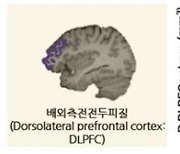 항우울제 치료 반응하는 우울증 청소년, 신경 세포 회복 가능성↑