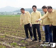 전남도, 집중호우 피해 입은 논콩 재배농가 구제 나서