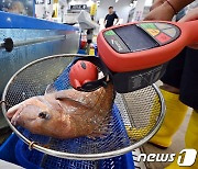 일본, 후쿠시마 방사능 오염수 오는 24일 방류