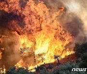 또다시 화마와 싸우는 그리스…북동부 산불에 2명 사망·곳곳 '불길'