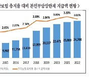 '1인당 평균 132만 원 환급' 의료비 본인부담금 초과 지출한 186만 명 혜택