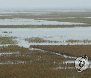 김정은, 평안남도 간석지 침수피해 복구현장 시찰