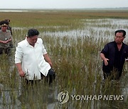 물에 잠긴 논에 들어간 북한 김정은