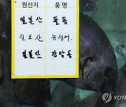 일본, 원전 오염수 방류 개시 공식 결정