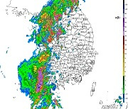 제주 280㎜ 퍼부었는데 대구·부산 0㎜…세로로 '두 동강'