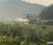 금산군, 돌발해충 피해 최소화 공동 협업방제