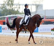 정유라 말, 7억→7300만원…공매 4번만에 팔려