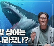 [이영완의 Scope] 지구 최강의 상어 메갈로돈은 왜 멸종했을까?