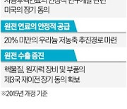 "日만 가능한 핵연료 재처리, 앞으로의 과제"