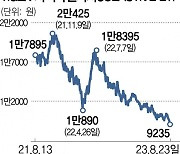 4兆 신화 '차이나전기차'도 반토막···中 ETF 한달새 4000억 유출