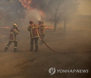 GREECE WILDFIRES